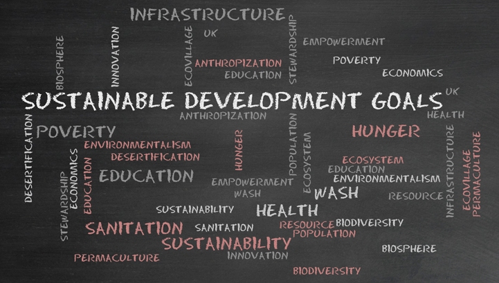 Why the SDGs are a big thing for SMEs